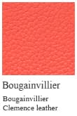 Bougainvillier