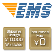 EMS 送料10,000円 全世界共通 保険料0円